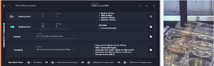 The screenshot, showing experimental protocol titled “HCT116 2D Feeding & Passaging 1:10 with Decision – for Expansion” used for culturing HCT116 cells in 6-well plates on the CellXpress.ai system. The protocol includes a “Feeding with Passaging” phase, in which media is exchanged every 48 hours, and transmitted light images are captured every 24 hours. Image analysis is performed using the IN Carta software, and a built-in decision-making rule automatically initiates passaging once the cells reach a predefined confluency threshold