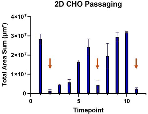 Plot showing the change in total area sum (μm2) of CHO cells averaged across all plates imaged from March 18 to April 1. Cells were passaged following imaging timepoints 1, 5, and 8 (indicated with orange arrows). Imaging was performed every 24 hours, with occasional interruptions due to experimental pauses for demonstrations. Error bars represent the standard deviation between plates.