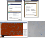 Why laboratories are switching to automated adherent and suspension cell culture platforms