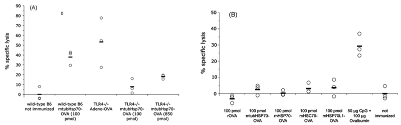 Endotoxin contamination is responsible for the immunogenicity of HSP70-OVA fusion proteins. Wild-type and TLR4-deficient C57BL/6 mice were immunized with Hsp70-OVA (A) and endotoxin-depleted recombinant Hsp70-OVA (B). The induced ovalbumin-specific cytotoxicity was measured in an in vivo CTL assay