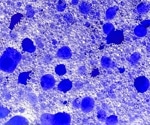 Extending contaminant removal performance in life science applications