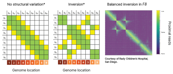 Colocation plots created by extracting read information from proximal clusters