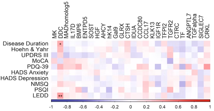 Association of CSF protein expression with PD clinical parameters. Spearman’s rank, adjusted for age and sex, between CSF levels of significantly differentially expressed proteins in PD Stockholm cohort patients and disease duration, scores of Hoehn&Yahr, Unifed Parkinson’s Disease Rating Scale (UPDRS) part 3, Montreal Cognitive Assessment (MoCA), Hospital Anxiety and Depression Scale (HADS), Non-Motor Symptoms Questionnaire (NMSQ) and Pittsburgh Sleep Quality Index (PSQI), and Levodopa equivalent daily dose (LEDD) (BH adjusted P-values; *P<0.05; **P<0.01).