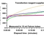 Why do some transient transfections outperform others?