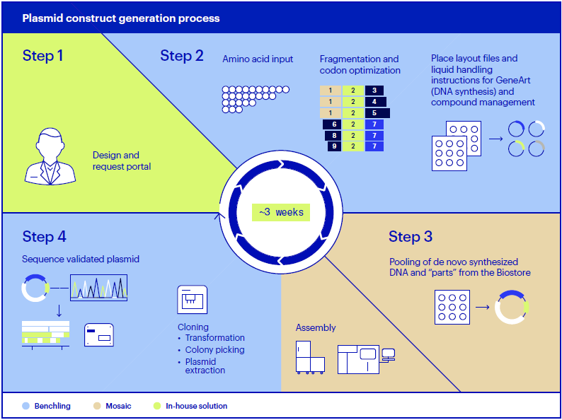 Automated plasmid generation workflow