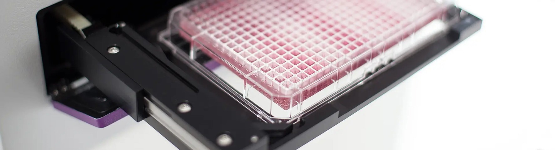 Microplate reader