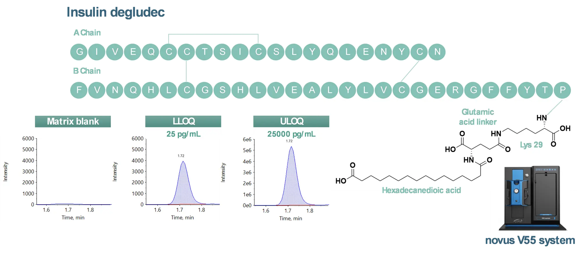 Representative extracted ion chromatograms (XICs) and structure of insulin degludec. An LLOQ of 25 pg/mL was achieved for insulin degludec in rat plasma. No interference was observed at the retention time of the analyte in the matrix blank. An upper limit of quantitation (ULOQ) of 25,000 pg/mL was reached