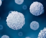 iPSC-derived CAR γδ T cells for liver cancer