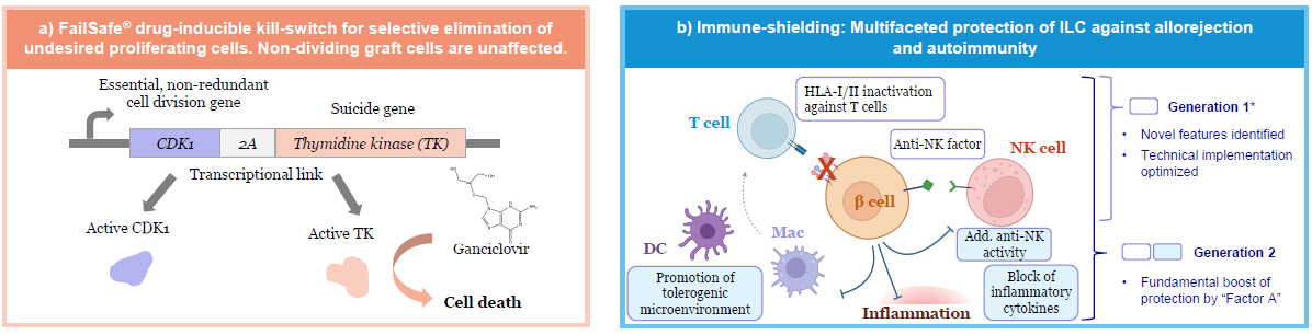 Implemented gene edits to equip iPSC-derived ILCs with a kill-switch (a) and immune-shielding (b).