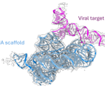 Advancing RNA drug discovery with Cryo-EM