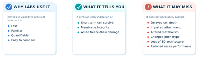 Measuring cell quality after cryopreservation