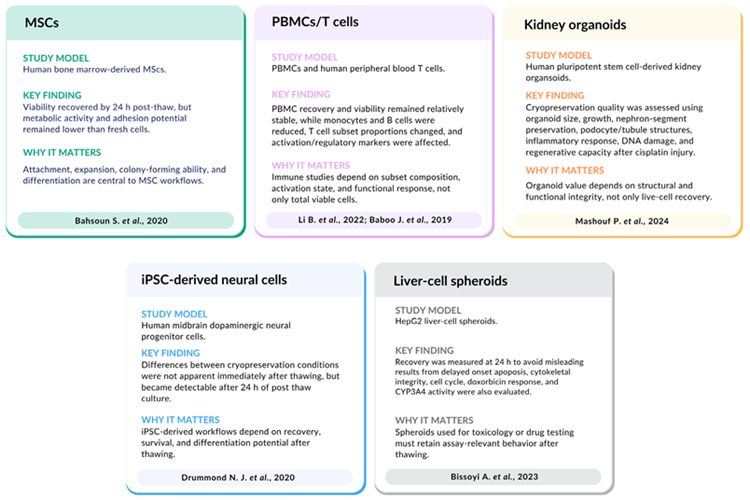Measuring cell quality after cryopreservation