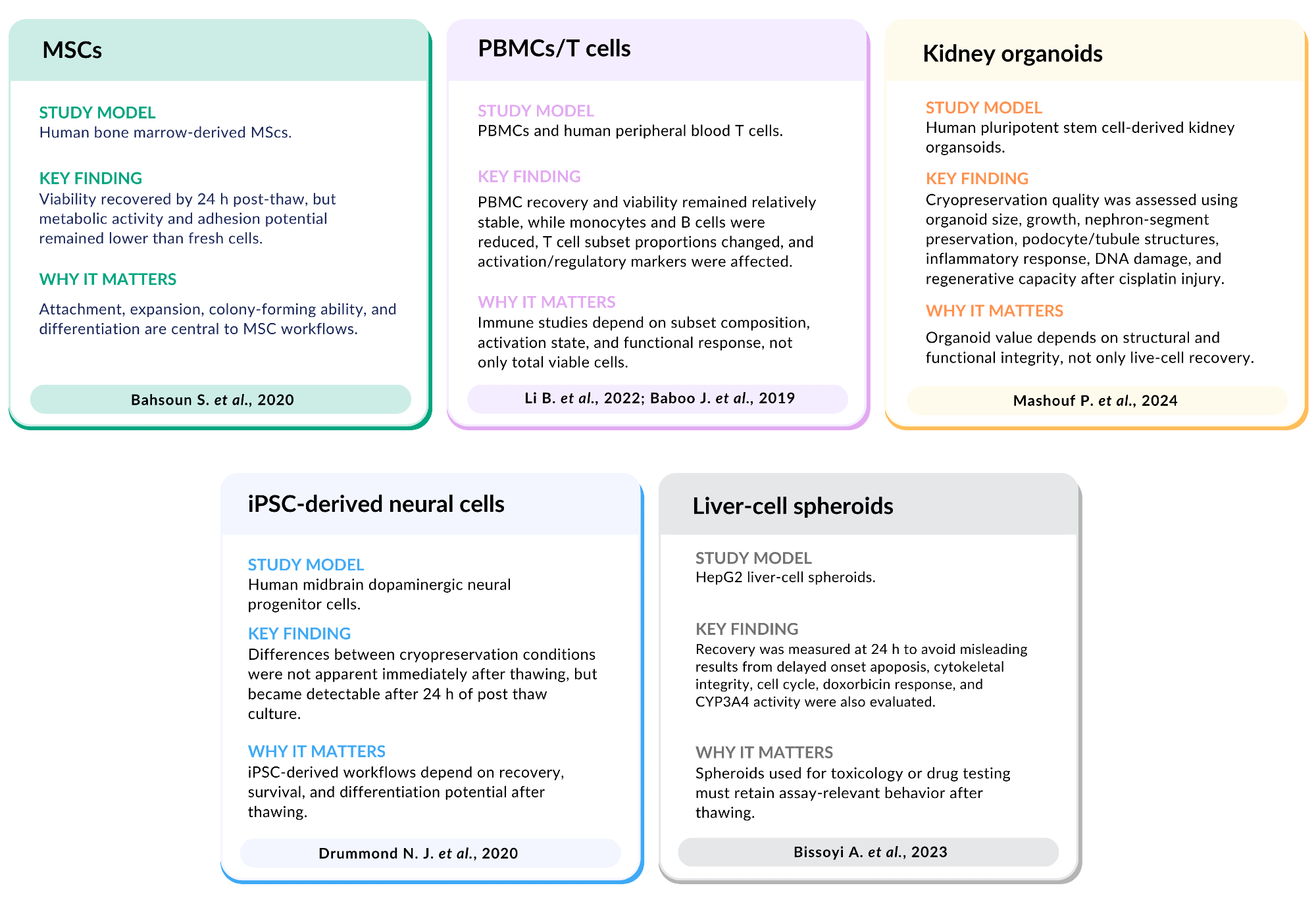 Measuring cell quality after cryopreservation