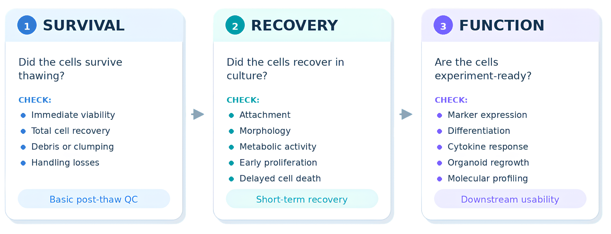 Measuring cell quality after cryopreservation