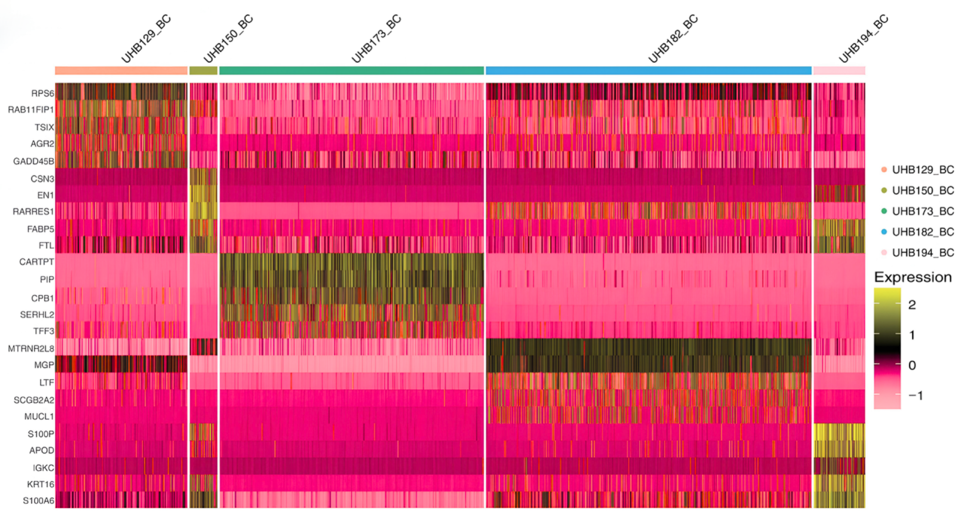 Measuring cell quality after cryopreservation
