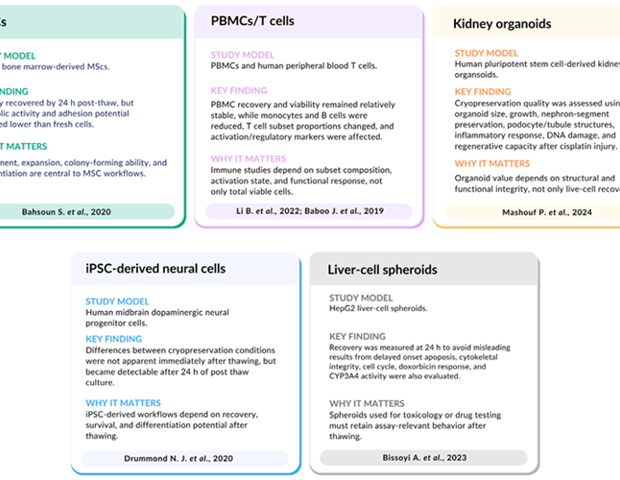 Measuring cell quality after cryopreservation
