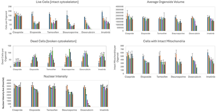 The bar graph shows decreases in the numbers of actin-positive (intact) cells per organoid, averaged per well, and changes in other phenotypic measurements with increased concentrations of tested compounds. The first bar of each series indicates control.