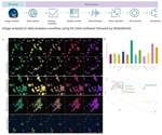 Accelerated phenotypic profiling with high-content imaging and AI image analysis