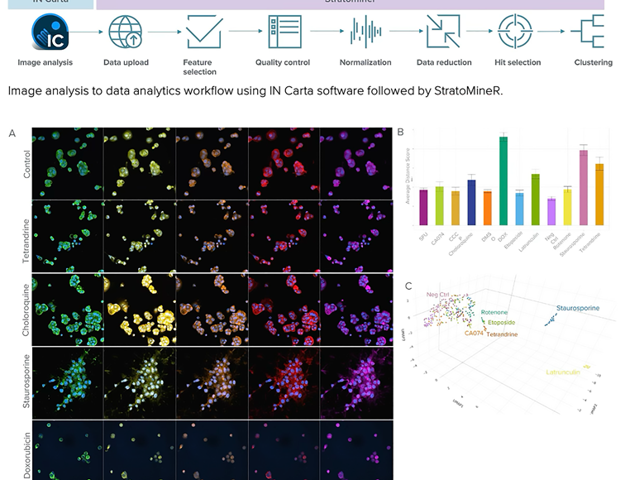Accelerated phenotypic profiling with high-content imaging and AI image analysis
