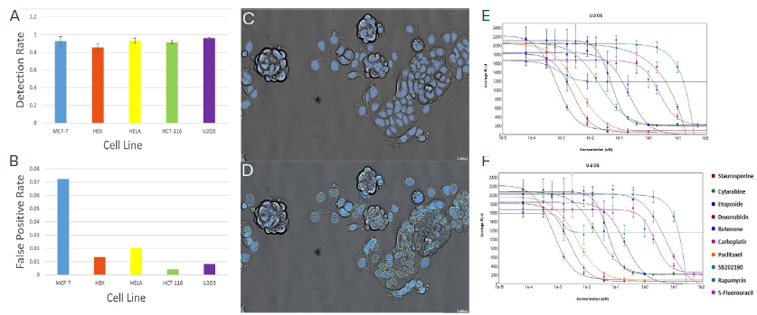A) The detection rate of all cell lines. B) The false-positive rate of all cell lines. C) Overlapping of TL nuclei mask (blue) and TL image of MCF-7 cells. D) Overlapping of DAPI nuclei mask (green outline), DAPI image, and TL image of MCF-7 cells. E) Dose-response curve of U2OS cells based on TL-derived nuclei counts. F) Dose-response curve of U2OS cells based on DAPI-derived nuclei counts (other cell lines exhibiting similar behaviors are not shown).