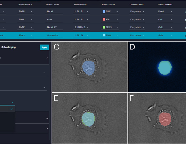 AI-powered label-free detection with IN Carta image analysis