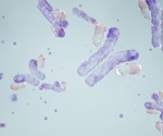 Best practices for multiplex IHC antibody validation