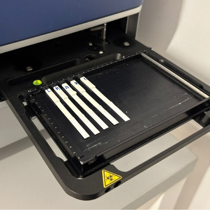 Strips for the PSA LFA placed on the ScanLater™ system of the TRF SpectraMax® iD5 reader