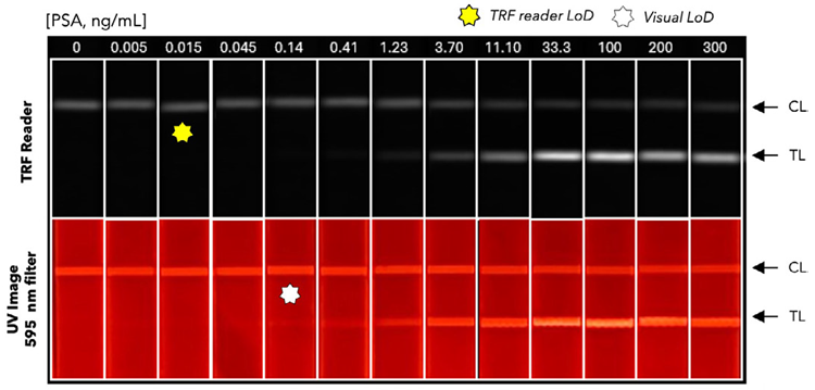 Typical images captured with a smartphone and a 595 nm filter under UV light and with the SpectraMax iD5 reader carried out with two-fold serially diluted PSA standard in migration buffer and a negative control (0 ng/mL PSA). White and yellow stars indicate the limits of detection