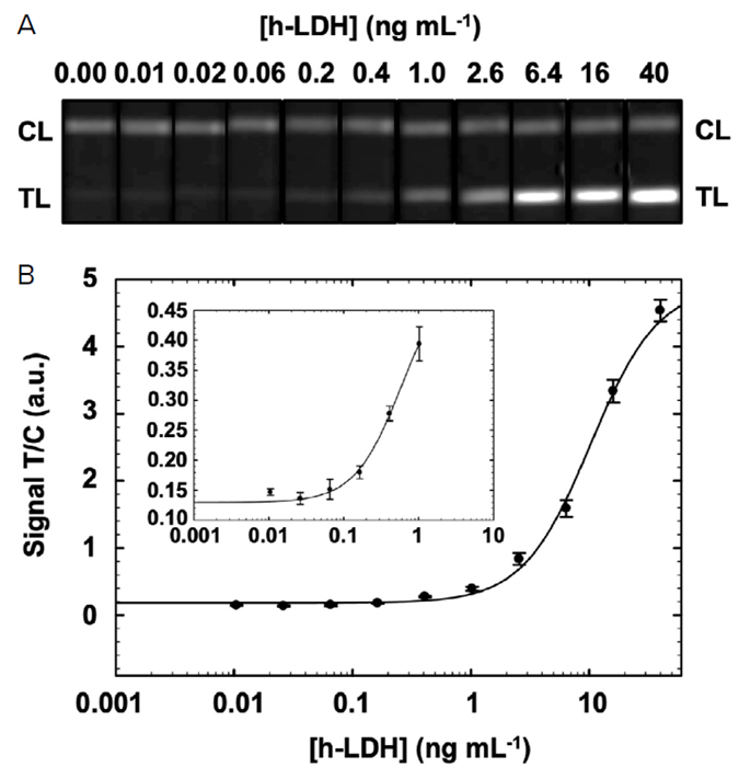 (A) Images of the EuNPs-based LFIA strips after detecting serial dilutions of h-LDH in working buffer (B) Calibration curve plot representing the normalized signal in the TL achieved when detecting serial dilutions of h-LDH standard in working buffer with EuNPs-based LFIA (n = 4). Inset showing the calibration curve plot between 0.001 and 10 ng mL-1 of h-LDH