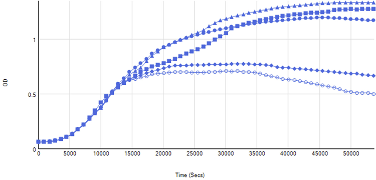 Continuous kinetic traces of E. coli growth. Single representative wells of different growth conditions are shown to illustrate the variation in growth observed