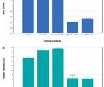 Tracking bacterial growth in response to nutrients and antibiotics