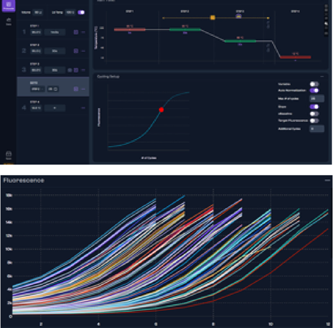 Graphical view of setting AutoNorm and 3b. resulting amplification of each sample to its set threshold