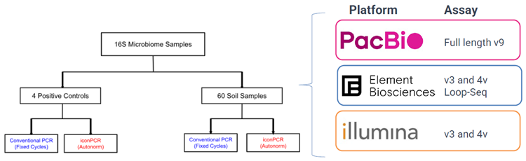 How adaptive PCR cycling improves full-length 16S workflows for heterogeneous microbiome samples