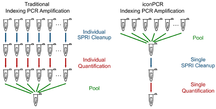 Simplified Workflow Using AutoNormalization