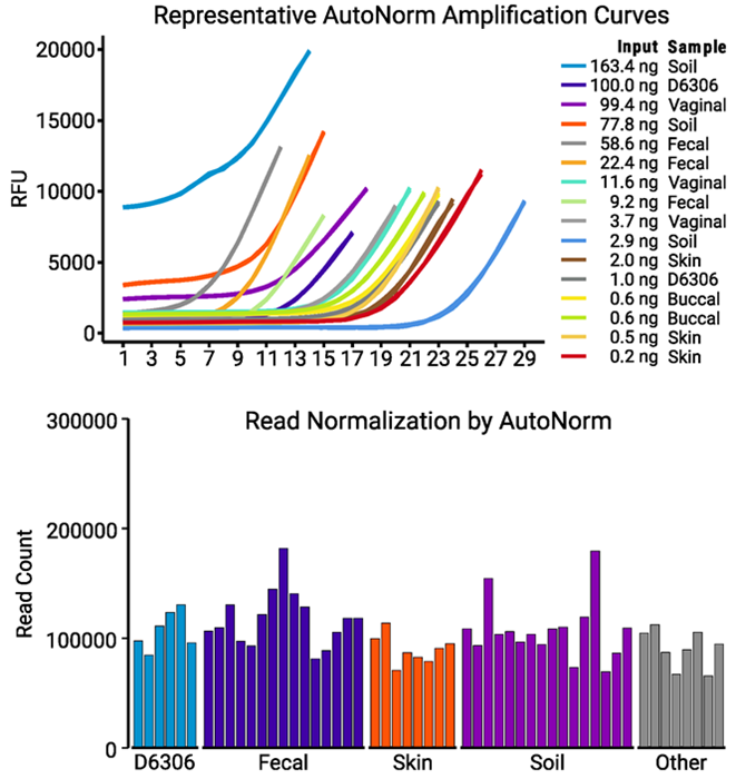 Graphs showing representative AutoNorm amplification curves and read normalization by AutoNorm