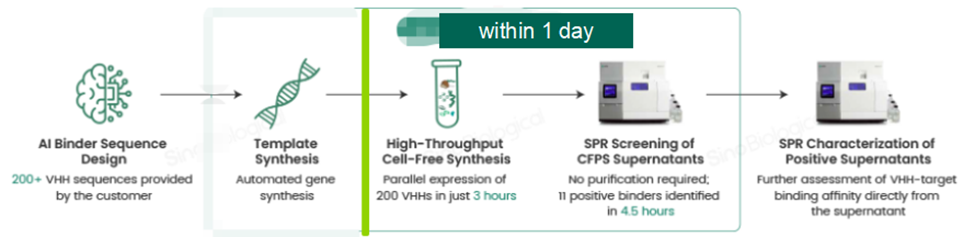 Workflow of ultra-fast, high-throughput screening with CFPS & SPR