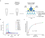Streamlining AI-driven drug discovery with cell-free expression and SPR