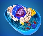 Mapping cellular chemistry with submicron IR