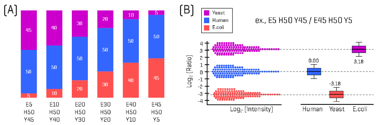 Overview of label-free quantitation (LFQ) proteomics experiment. (A) Six defined mixtures of human, yeast and E. coli lysate tryptic digests were prepared, each with the same total amount of protein but varying in the proportions (w/w) of human, yeast and E. coli digests present. Samples were analyzed using Zeno SWATH DIA and ZT Scan DIA 3.0 on the ZenoTOF 8600 system. LFQ accuracy was determined by generating Log2(Ratio) vs Log2(Intensity) plots for various pairwise mixture comparisons: E5 H50 Y45 vs E45 H50 Y5, E10 H50 Y40 vs E40 H50 Y10, E20 H50 Y30 vs E30 H50 Y20, and E5 H50 Y45 vs E20 H50 Y30. (B) Example theoretical LFQ ratio plot for the comparison of samples E5 H50 Y45 vs E45 H50 Y5