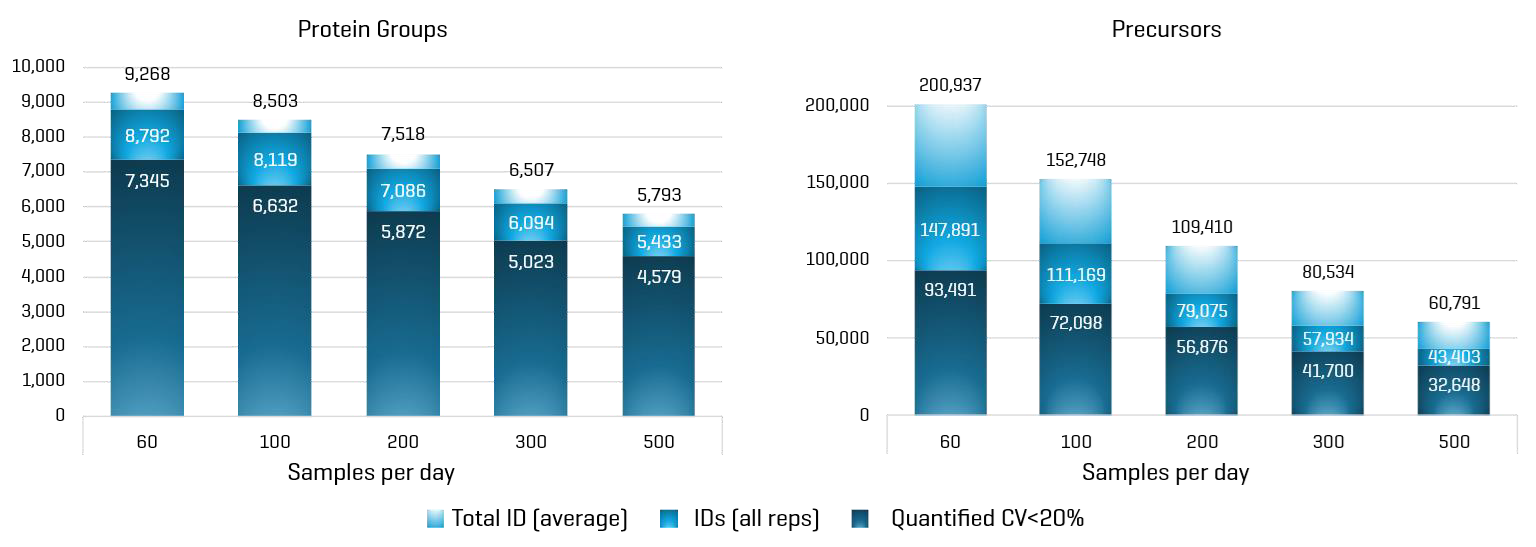 Protein groups and precursors identified (average IDs across 4 replicates, and IDs in all replicates) and quantified from 50 ng of K562 digest. Data-independent acquisition was performed on a ZenoTOF 8600 system using optimized ZT Scan DIA 3.0 methods at various samples-per-day (SPD) throughputs