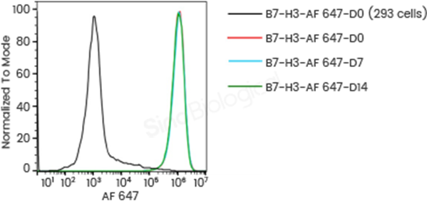 Figure 3. Superior fluorescence performance of Sino Biological site-specifically labeled human B7-H3 protein. (A) Site-specifically PE-conjugated human B7-H3 protein (Cat# 11188-H86H-SP) provides stronger fluorescence signals than a comparable commercial reagent for flow cytometric detection of B7-H3 CAR-expressing cells, supporting sensitive and robust cell characterization. (B) Flow cytometric analysis using AF 647-conjugated B7-H3 protein. The protein exhibited stable performance after 14 days of storage at 37°C, as measured on Day 0, Day 7, and Day 14.