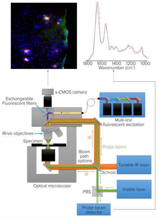 Microscope schematic for O-PTIR and co-located fluorescence microscopy