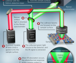 Sub-micron IR spectroscopic imaging for cellular and biomolecular research
