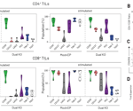 How dual checkpoint knockout strengthens engineered TIL therapy