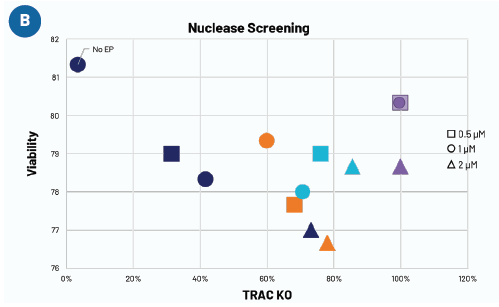 Nuclease screening