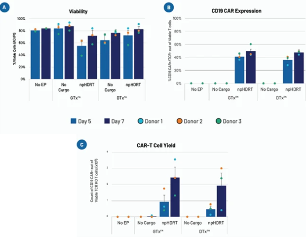 High-throughput electroporation for cell therapy discovery