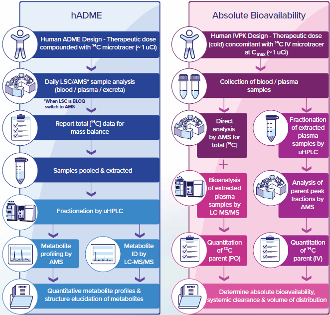 Workflows for 14C drug metabolism analysis
