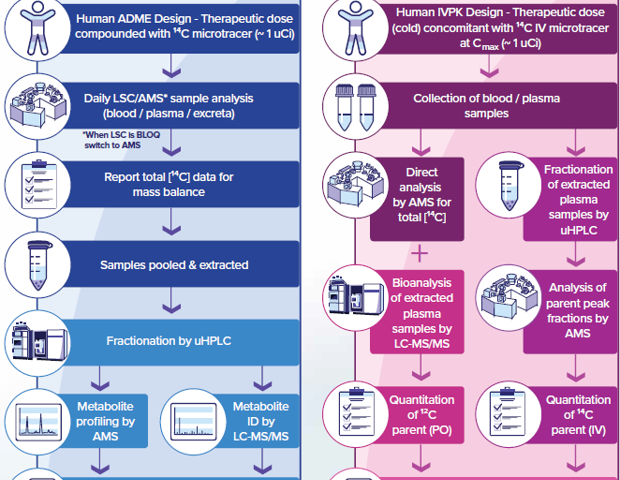 Accelerator mass spectrometry for 14C drug metabolism analysis
