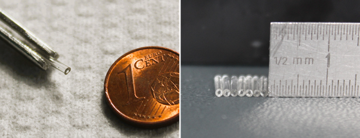 Extruded hollow tubes with an outer diameter of 1.5 mm, wall thickness of 0.4 mm, and length of 10 mm