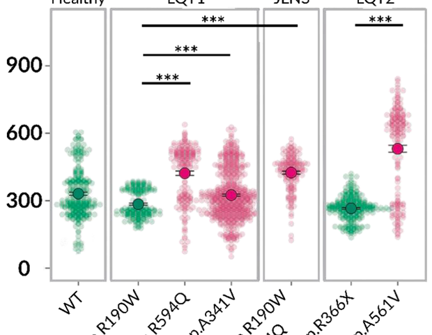 Post-thaw recovery in iPSC-derived cell models